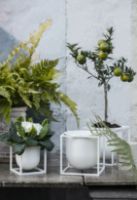 Billede af Audo Copenhagen Kubus Flowerpot 14 14x14 cm - Hvid 