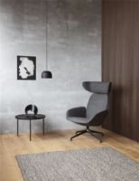 Billede af Eva Solo Laze Chair lænestol SH: 41 cm - Grey/MLF16