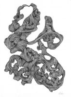 Billede af Nordal Rocaille Illustration 40x30 cm - Black Frame OUTLET