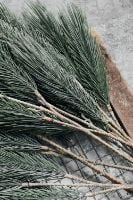 Billede af House Doctor Gren Pine Tree H: 97 cm - Natur OUTLET