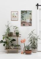 Billede af ViSSEVASSE Plakat Growing Plants 15x21 cm OUTLET