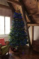 Billede af Sirius Knirke Juletræslyskæde H: 1,8 m - Multifarvet