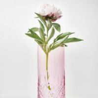 Billede af Frederik Bagger Crispy Love 1 Vase 85 cl - Topaz/Pink