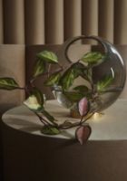 Billede af AYTM Globe Vase Ø: 30 cm - Black/Gold