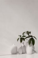 Billede af Blomus Ceola Vase H: 13 cm - White