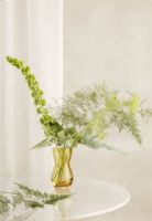 Billede af Holmegaard Calabas Vase H: 16 cm - Amber 