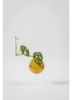 Billede af Studio About Standing Flower Bubble Tall Tube H: 13 cm - Amber OUTLET