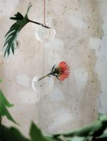 Billede af Studio About Hanging Flower Bubble Small Ø: 8 cm - Transparent OUTLET