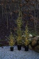 Billede af Sirius Milas Cedar Træ 180 LED lys H: 190 cm - Grøn 