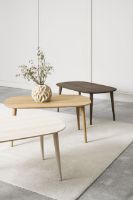 Billede af Thomsen Furniture Oak Sofabord 60x100 cm - Hvidolieret Eg