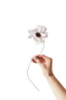 Billede af Studio About Paper Flower Small - Daisy/Purple OUTLET