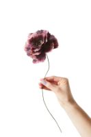 Billede af Studio About Paper Flower Small - Peony/Aubergine OUTLET