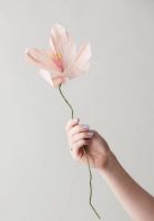 Billede af Studio About Paper Flower Large - Lily/Rose OUTLET