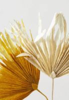 Billede af Studio About Paper Flower Large - Palm/Ochra OUTLET