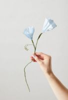 Billede af Studio About Paper Flower Large - Morning Glory/Blue OUTLET