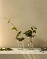Billede af Audo Copenhagen Cresco Propagation Vases 2 stk - Brown/Clear Glass