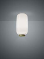 Billede af Foscarini Chouchin Bianco 2 Reverse Loftlampe H: 34 cm LED - Grøn