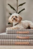 Billede af OYOY Milo Grid Dog Cushion Large 90x70 cm - Clay Melange