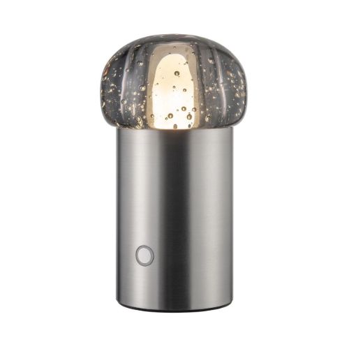 Blomus IRIS Mobile Outdoor LED Lamp H: 18 cm - Metallic Finish