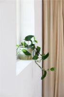 Billede af Ro Collection Two Tone Planter Small Ø: 16 cm - Artichoke Green
