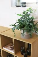 Billede af Ro Collection Two Tone Planter Large Ø: 20 cm - Dune Grey