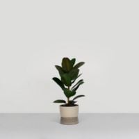 Billede af Ro Collection Two Tone Planter Floor Small Ø: 26 cm - Dune Grey