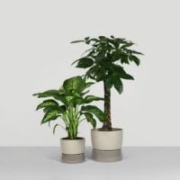 Billede af Ro Collection Two Tone Planter Floor Small Ø: 26 cm - Dune Grey