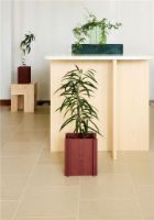 Billede af Squarely Copenhagen BloomON 25x30 cm - Terracotta Red