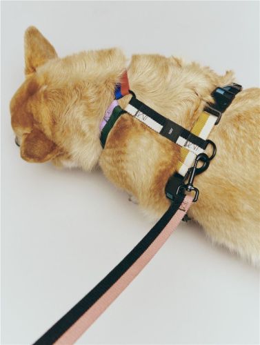 HAY Dogs Leash Flat L: 160 cm  M/L - Pink/Black