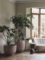 Billede af &Tradition Little Petra VB2 Sofa L: 150 cm - Oiled Walnut/Karakorum 003