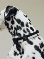 Billede af HAY Dogs Collar Flat M/L: 65 cm - Black/White