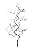 Billede af Sirius Rasmine Gren L: 90 cm