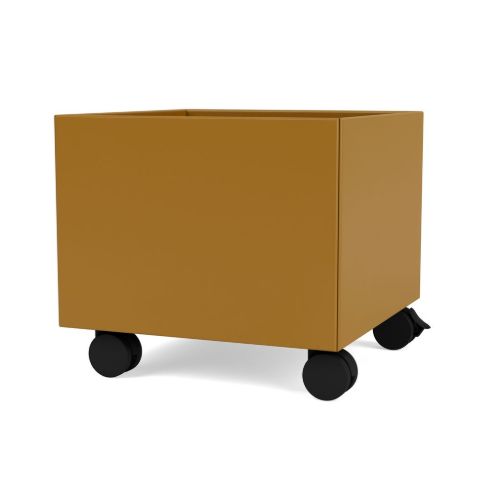 Montana QS Mini Play MP1001 Kasse 35,4x31,8 cm - 142 Amber