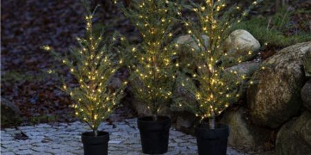 Billede til varegruppe Juletræer