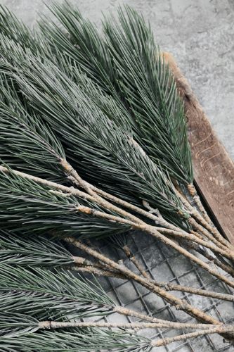House Doctor Gren Pine Tree H: 97 cm - Natur OUTLET