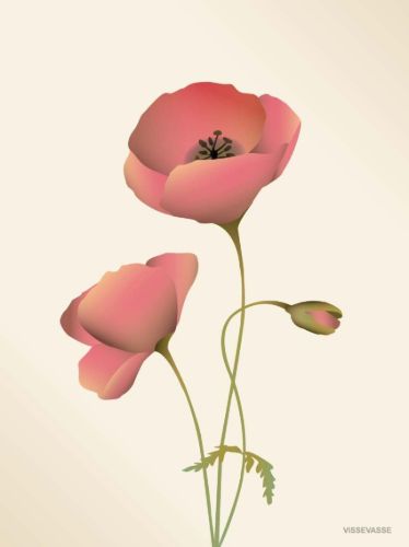 ViSSEVASSE Plakat Poppy Meringue 15x21 cm OUTLET