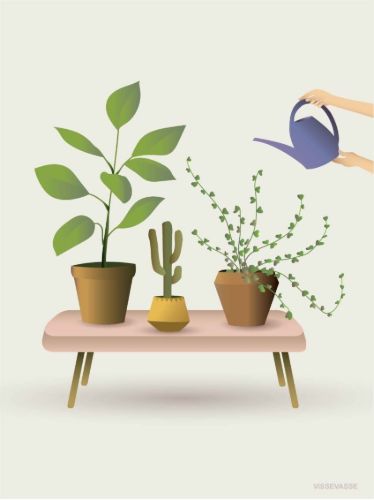 ViSSEVASSE Plakat Growing Plants 15x21 cm OUTLET