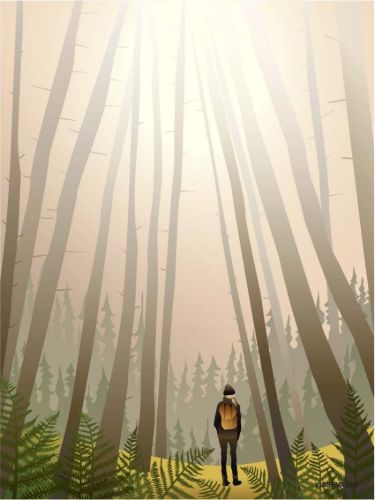 ViSSEVASSE Plakat Into The Woods 15x21cm  OUTLET